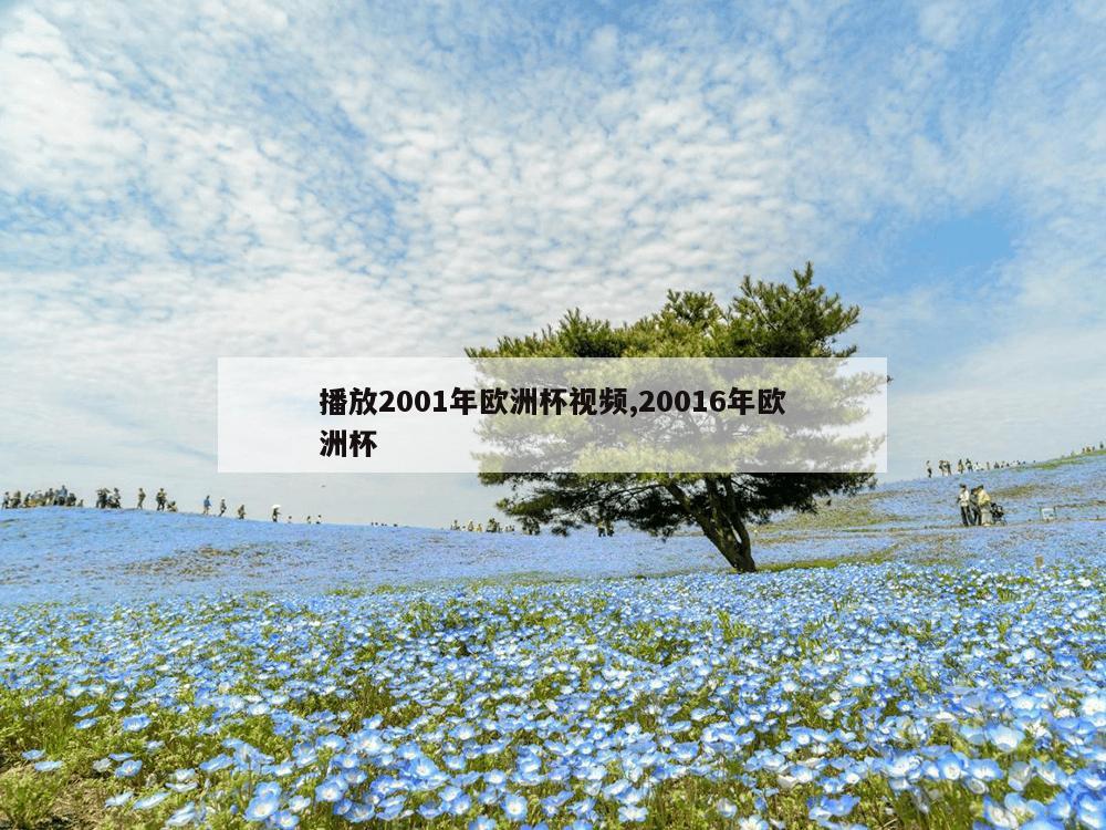 播放2001年欧洲杯视频,20016年欧洲杯