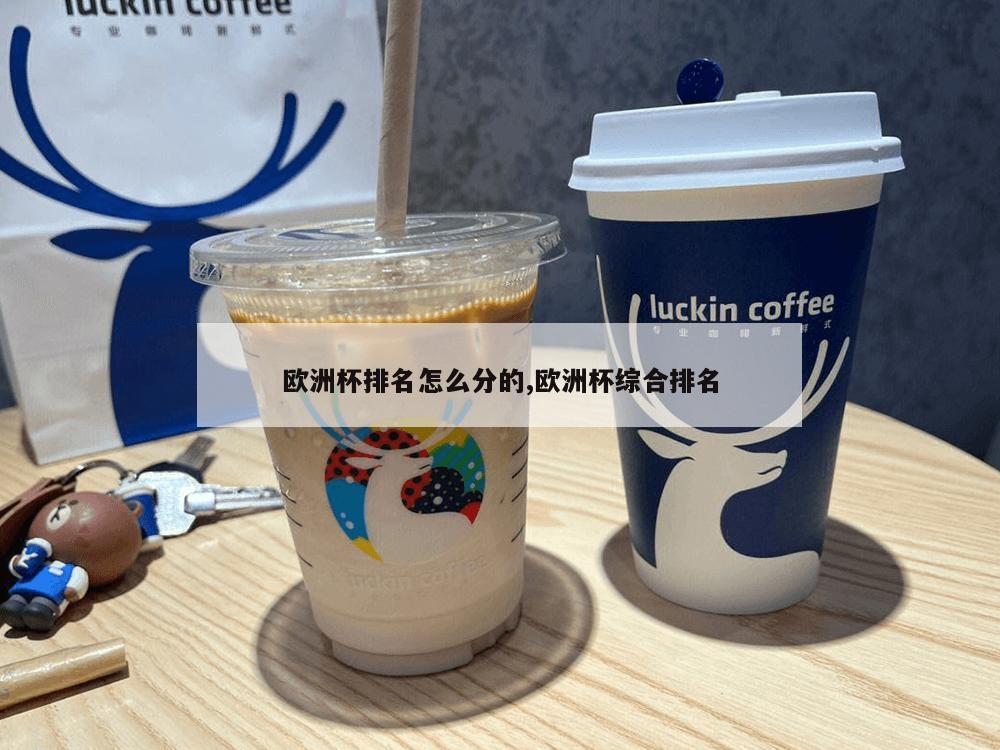 欧洲杯排名怎么分的,欧洲杯综合排名