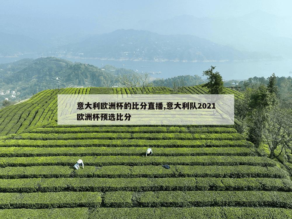 意大利欧洲杯的比分直播,意大利队2021欧洲杯预选比分