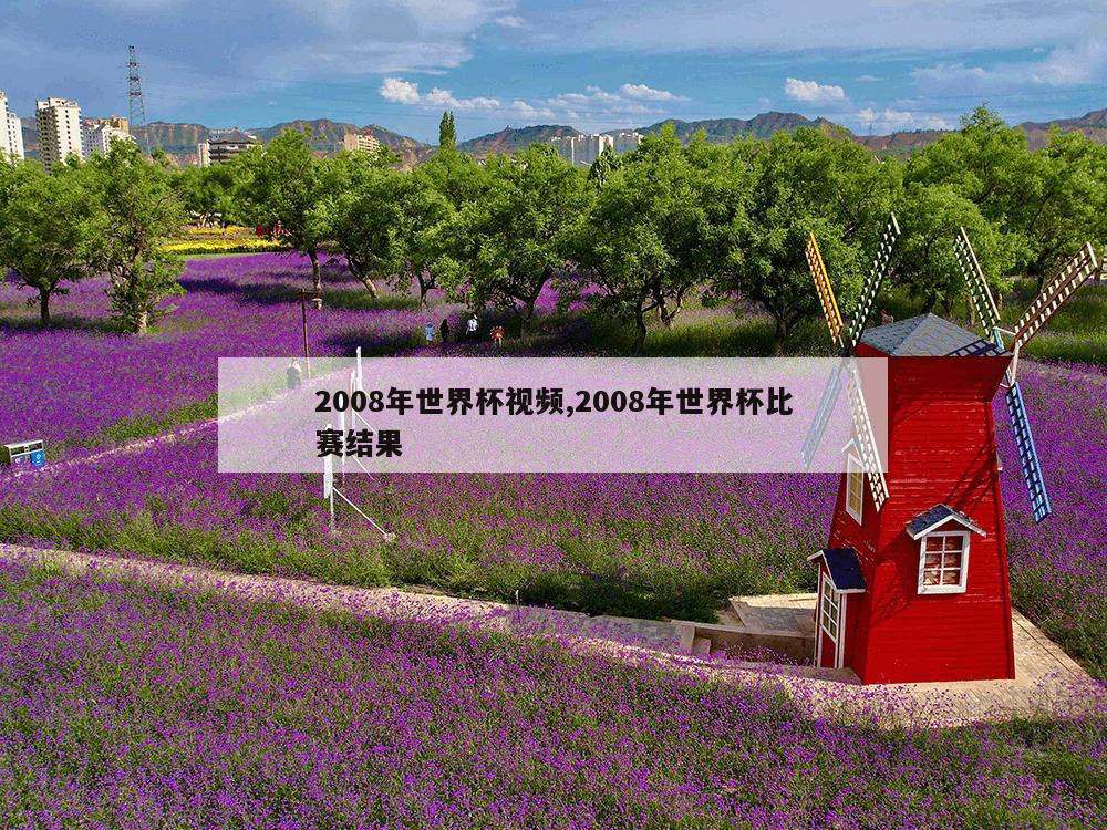 2008年世界杯视频,2008年世界杯比赛结果