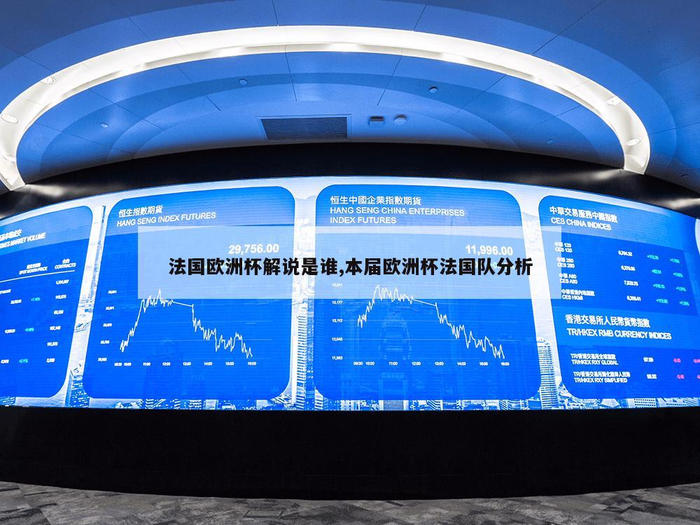 法国欧洲杯解说是谁,本届欧洲杯法国队分析