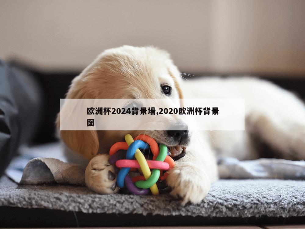 欧洲杯2024背景墙,2020欧洲杯背景图