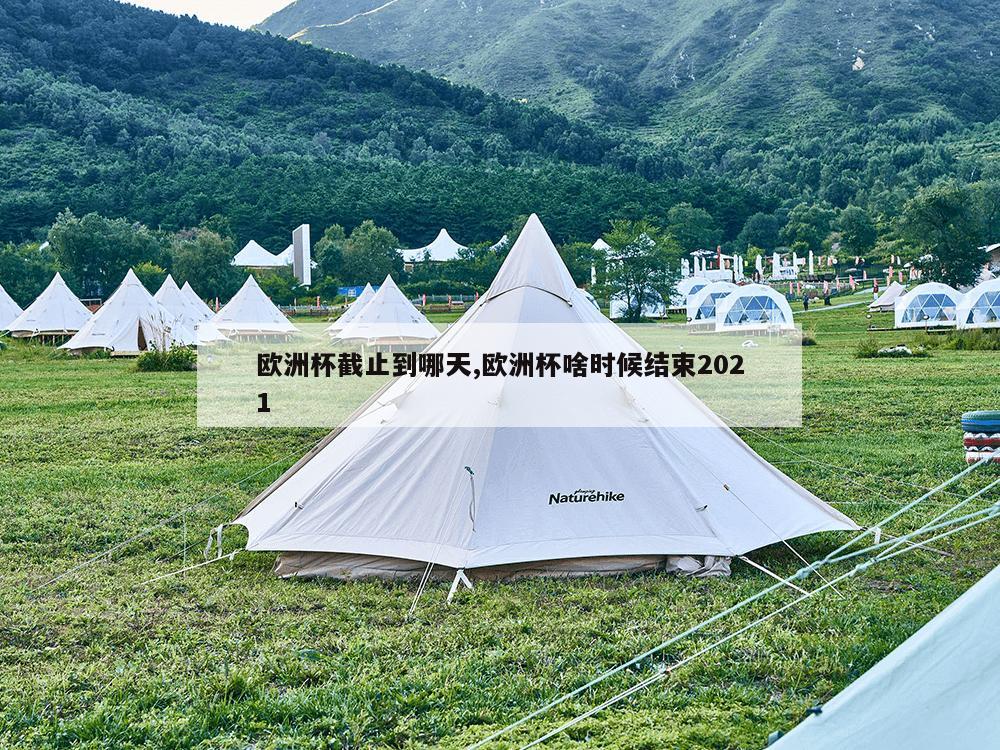 欧洲杯截止到哪天,欧洲杯啥时候结束2021