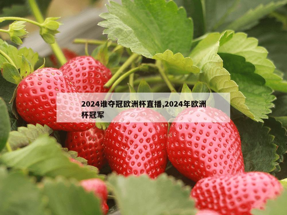 2024谁夺冠欧洲杯直播,2024年欧洲杯冠军