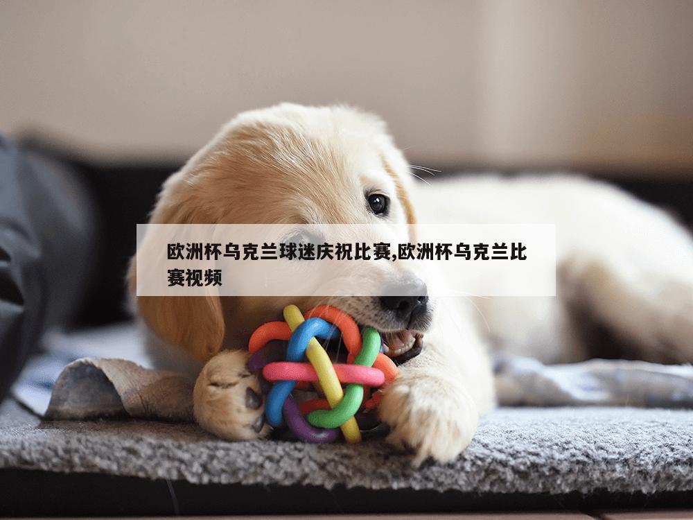 欧洲杯乌克兰球迷庆祝比赛,欧洲杯乌克兰比赛视频