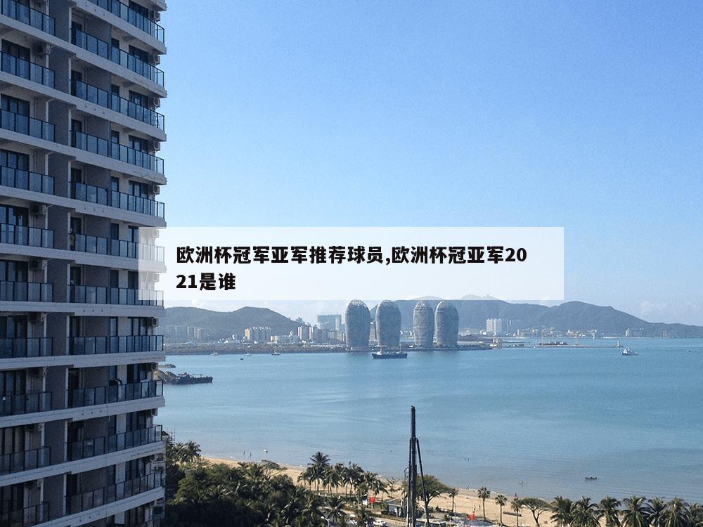 欧洲杯冠军亚军推荐球员,欧洲杯冠亚军2021是谁