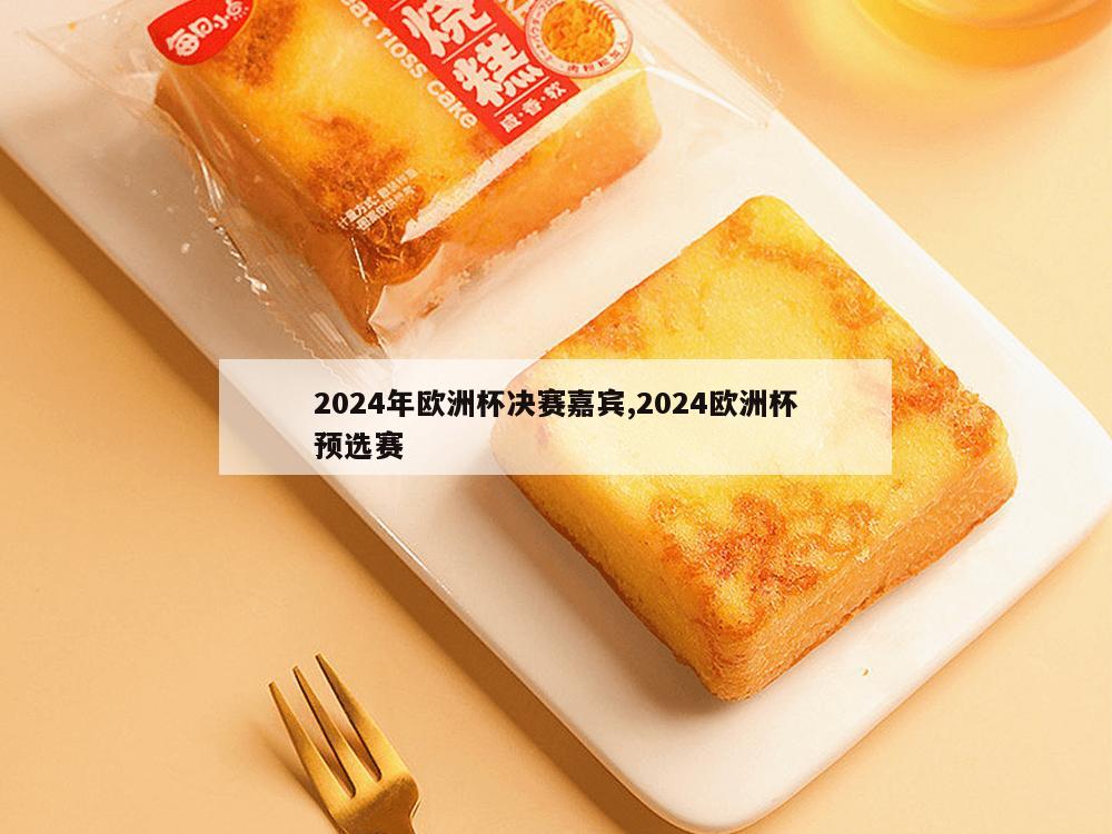 2024年欧洲杯决赛嘉宾,2024欧洲杯预选赛