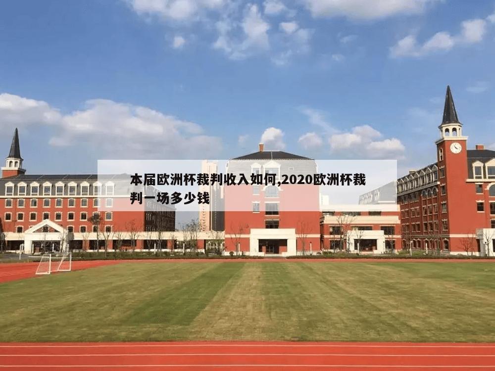 本届欧洲杯裁判收入如何,2020欧洲杯裁判一场多少钱