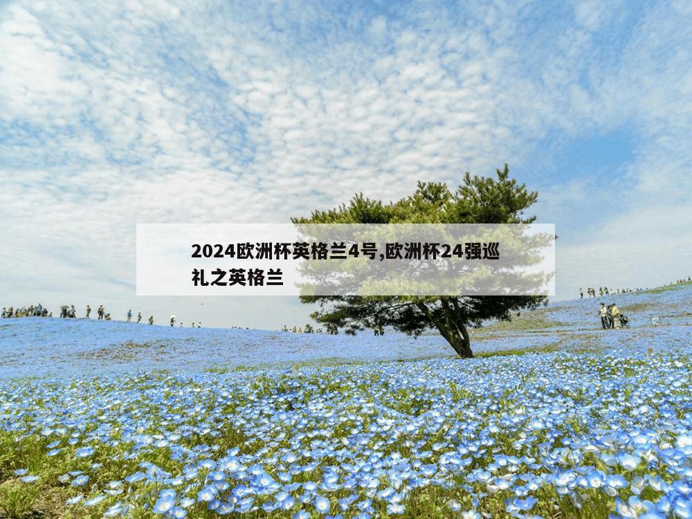 2024欧洲杯英格兰4号,欧洲杯24强巡礼之英格兰