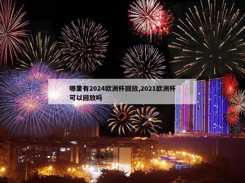 哪里有2024欧洲杯回放,2021欧洲杯可以回放吗