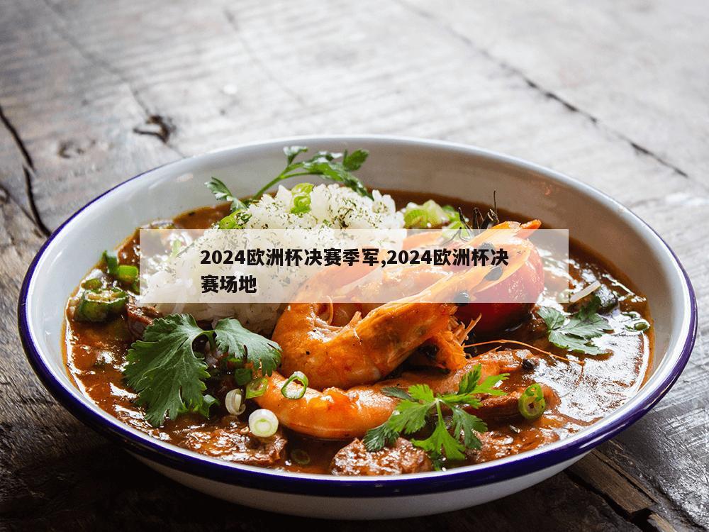 2024欧洲杯决赛季军,2024欧洲杯决赛场地