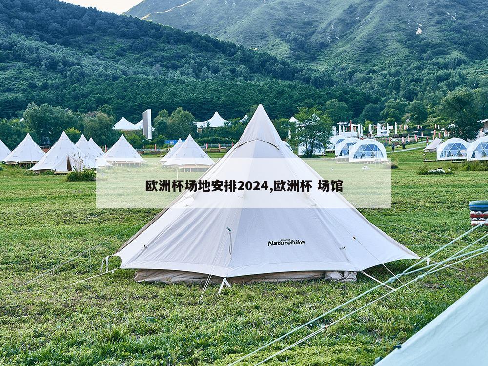 欧洲杯场地安排2024,欧洲杯 场馆